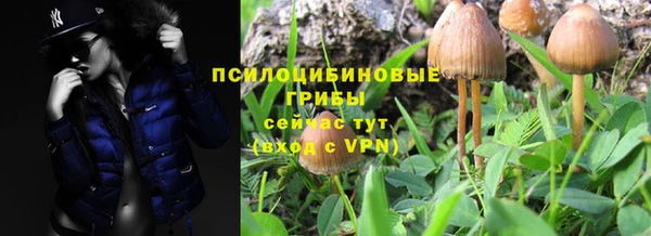 ALPHA PVP Михайловка